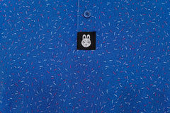 The Big Bang Polo