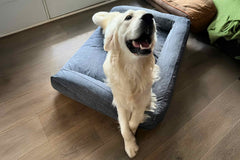 Dog Bed Lounger