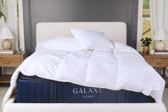 Down Duvet Insert