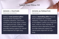 Ultimate Bedding Bundle w/ Cotton Percale