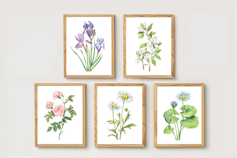 Watercolor Florals Art Print, Framed (12